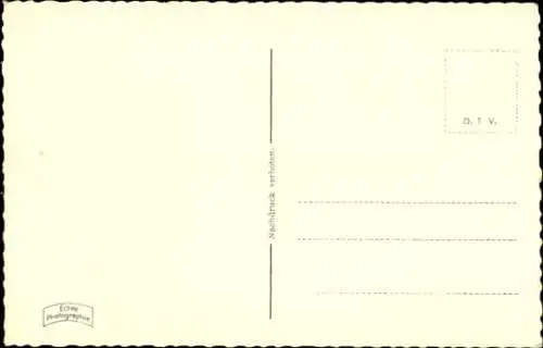 Ak Hund schaut nach oben, Tierporträt