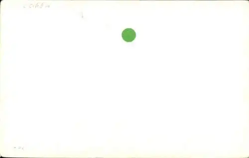 Ak Schriftsteller Victor Hugo, Portrait