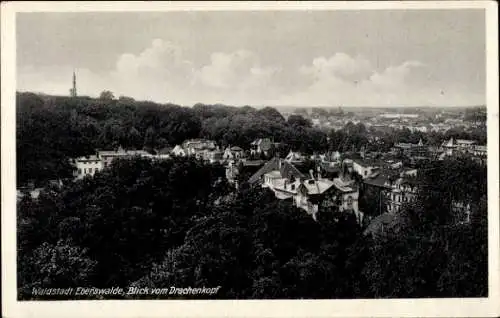 Ak Eberswalde, Blick vom Drachenkopf auf die Waldstadt 