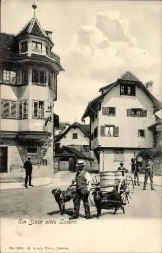 Ak Lucerne Luzern Stadt Schweiz, Straße, Arbeitshunde