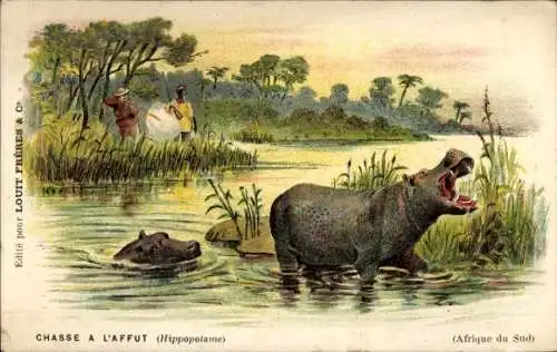Ak Afrika, Jagd, Jagdszene, Jäger schießt auf Nilpferde