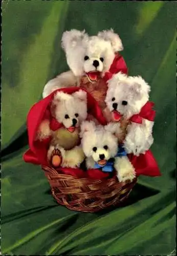 9 alte Ak Teddys, Plüschtiere, diverse Ansichten