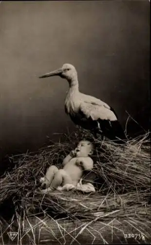 Ak Storch, Babys, Storchennest