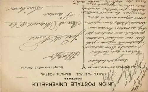 Ak Storch, Babys, Storchennest