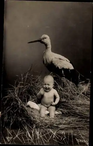 Ak Storch, Babys, Storchennest