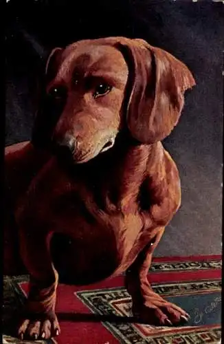 Ak Brauner Dackel, Gemaltes Porträt, Hund