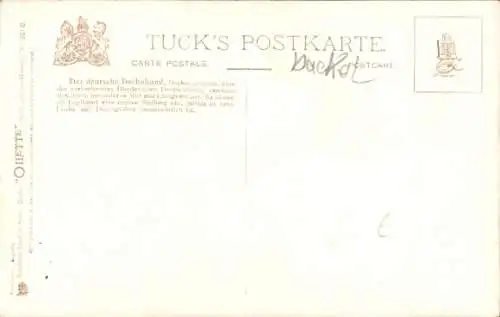 Ak Brauner Dackel, Gemaltes Porträt, Hund