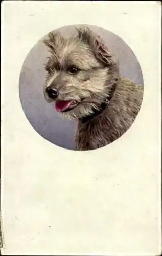 Präge Ak Terrier, Hund, Porträt