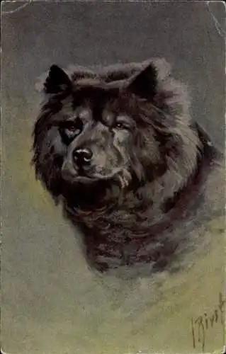 Künstler Ak Chow Chow, Hundeportrait