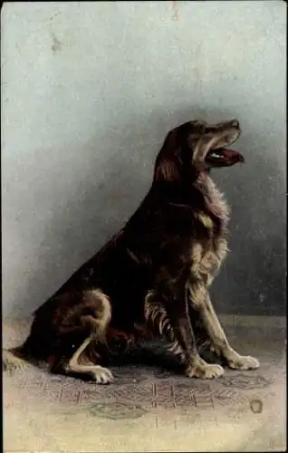 Litho Brauner Hund, Portrait