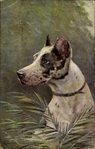Künstler Ak Dogge, Novitas 4313