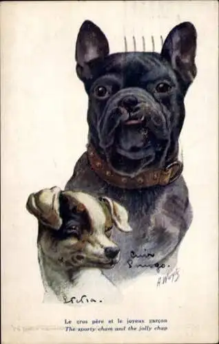 Künstler Ak Wuyts, A., Zwei Hunde, Gemaltes Porträt, Halsband