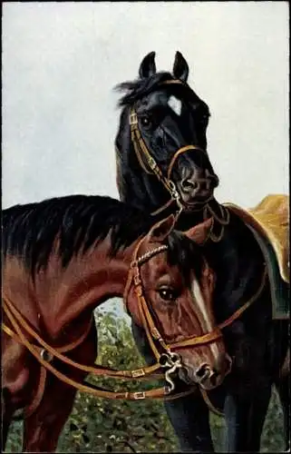 Künstler Ak Pferde, Portrait