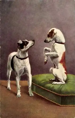 Künstler Ak Hunde, Terrier