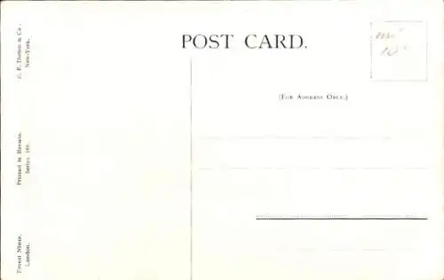 Künstler Ak Hunde, Terrier