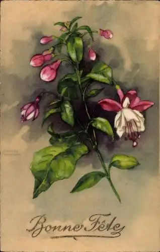 Künstler Ak Petersen, H., Glückwunsch, Blumen, Knospen