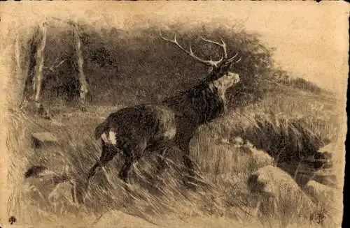 Künstler Ak Hirsch am Waldrand