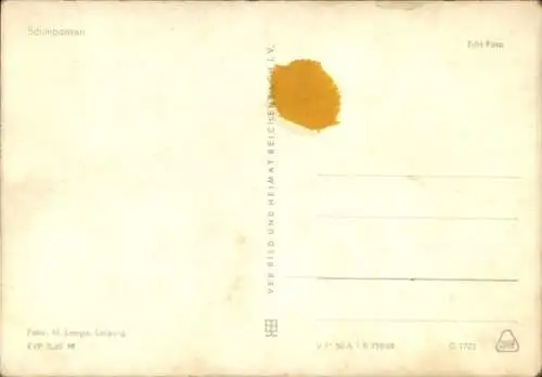 Ak Schimpansen beim Essen, Portrait