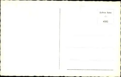 Ak Glückwunsch, Teddys