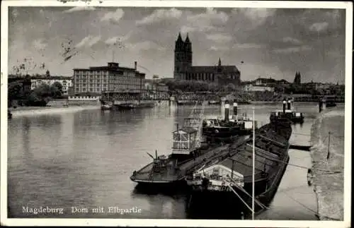 Ak Magdeburg an der Elbe, Dom, Elbpartie