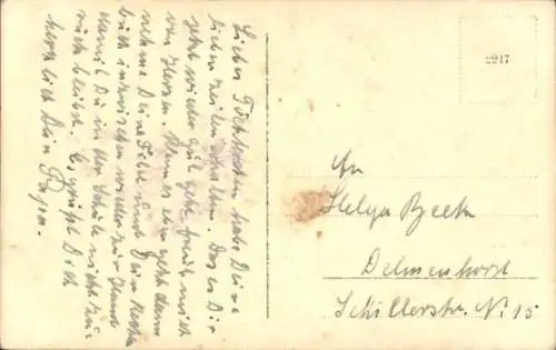 Ak Schäferhund, Tierporträt