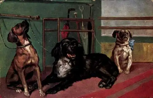 Künstler Ak Drei Hunde, schwarzer liegend, kleiner Hund mit Schleife, Regenschirm