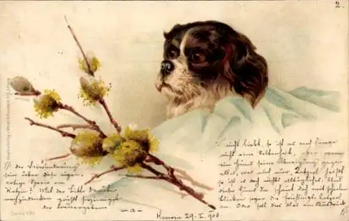 Litho Hund, gemaltes Porträt, Weidenkätzchen