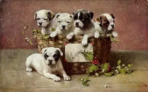 Ak Welpen im Korb, Hunde, Stechpalme, Mistelzweige