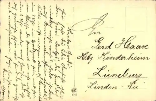 Ak Junge Schotten, Terrier, Hunde