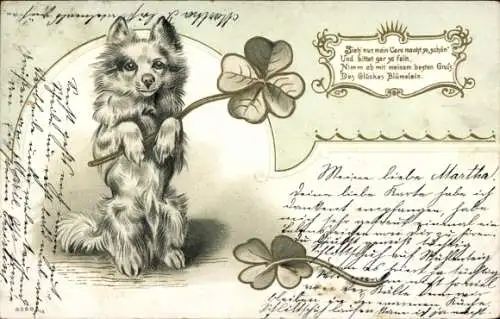 Präge Litho Junger Hund, Glücksklee