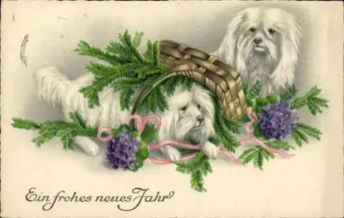 Ak Glückwunsch Neujahr, Hunde, Tannenzweige, Korb