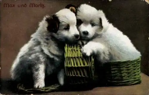 Ak Hunde, Max und Moritz, Welpen