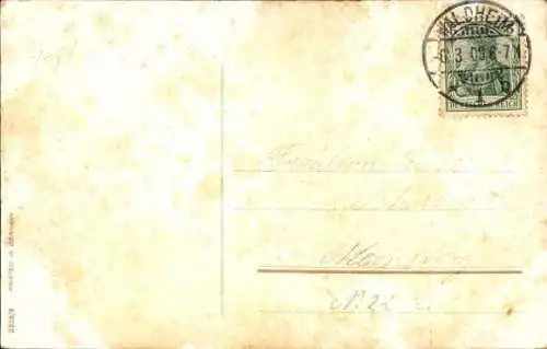 Ak Hunde, Max und Moritz, Welpen