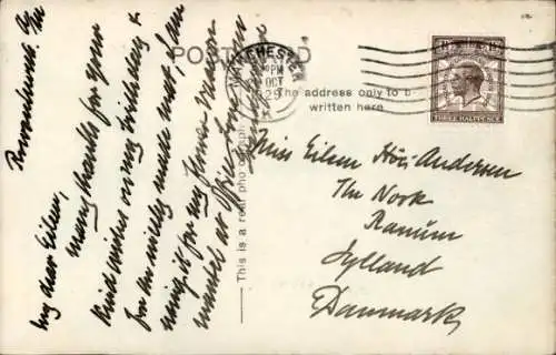 Ak Drei Hunde, Welpe