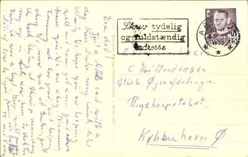 Ak Terrier, Hund-Porträt