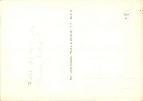 Ak Hund, Tierporträt