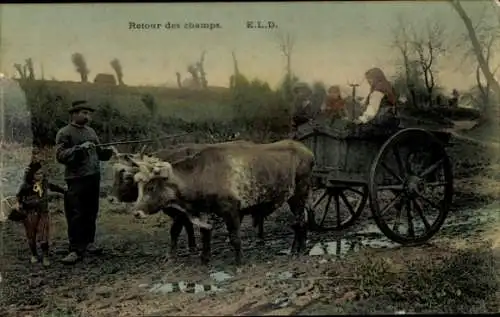 Ak Ochsengespann, Rückkehr von Feldern