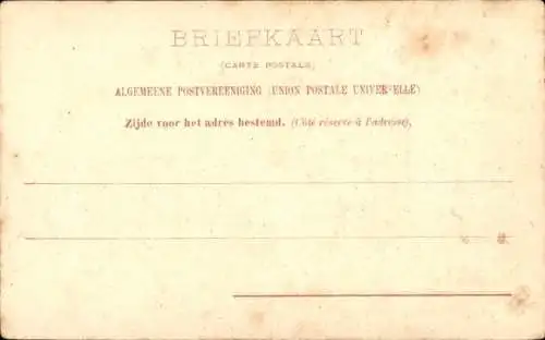 Stereo Ak Lotosblumen, Teich