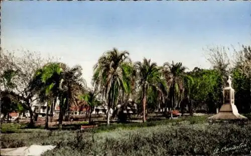CPA Basse-Terre Guadeloupe, Square du Dr Pichon