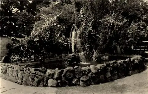 Ak Neue Mühle Königs Wusterhausen in Brandenburg, HOG Neue Mühle, Springbrunnen