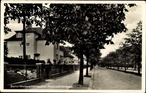 Ak Berlin Pankow Niederschönhausen, Podbielskistrasse