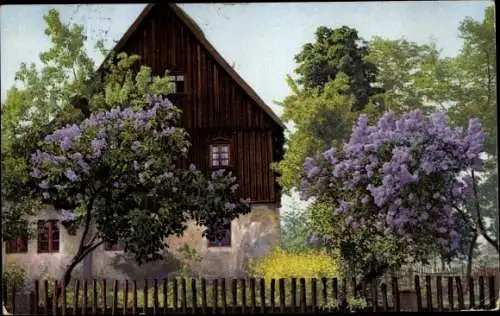 Ak Thalgau Salzburg, Nenke & Ostermaier Serie 329 Nr 4909, Flieder, Schöffingen, Photochromie