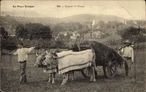 CPA Au Pays Basque, Basques au Champ