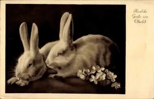 Ak Glückwunsch Ostern, Osterhasen