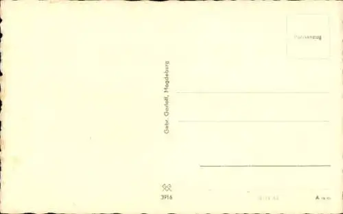 Ak Auf der Lauer, Katze