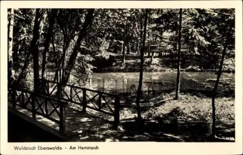 Ak Eberswalde in der Mark, Am Hertateich