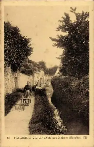 Ak Falaise Calvados, Vue sur l'Ante aux Maisons Blanches