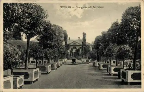 Ak Weimar in Thüringen, Orangerie mit Belvedere