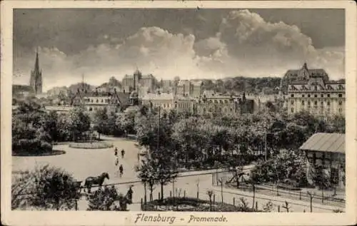 Ak Flensburg in Schleswig Holstein, Ausschnitt der Promenade, historische Gebäude, Pferd, Radf...