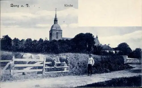 Ak Burg im Spreewald, Kirche, Wiese, zwei Pferde, Mann auf dem Weg